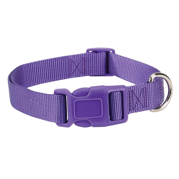 Party Animal 6-10 in. Nylon Dog Collar, Purple - PA1668722