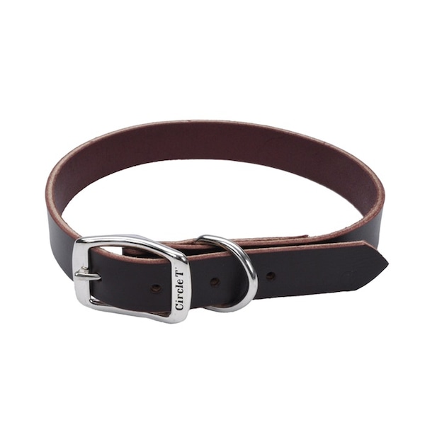 Coastal Pet Circle T Latigo Leather Town Dog Collar Flat 1" 22" - 3799-22