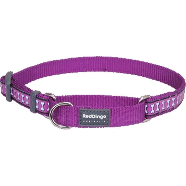 Red Dingo Martingale Dog Collar Reflective Purple- Large - MC-RB-PU-25