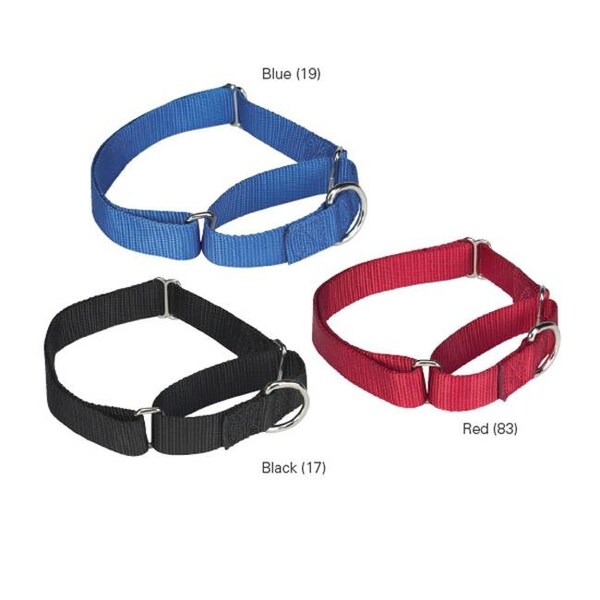 Guardian Survival Gear Guardian Gear ZA1513 10 19 GG Nylon Martingale Collar 10-16 In Blue - ZA1513 10 19