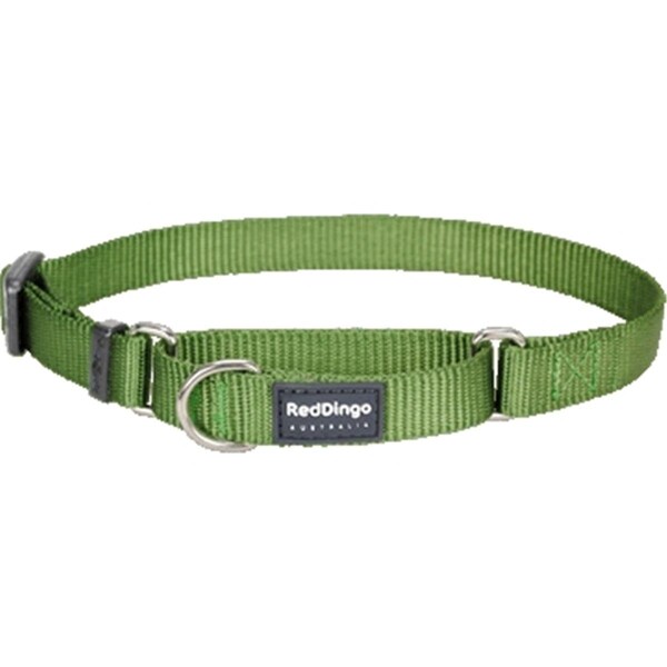 Red Dingo Martingale Dog Collar Classic Green, Medium - RE437180