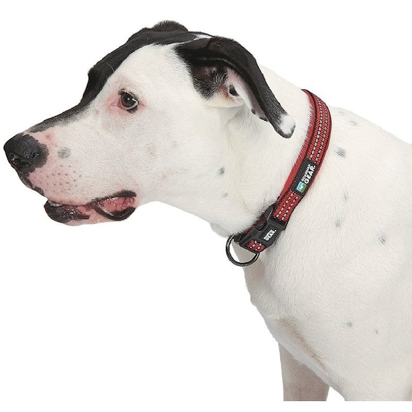 Guardian Gear Dog Collar, O-Ring Link, 20 to 83 in L Collar, Nylon, True Red - ZA0006 20 83