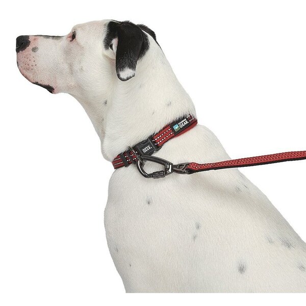 Guardian Gear Dog Collar, O-Ring Link, 20 to 83 in L Collar, Nylon, True Red - ZA0006 20 83