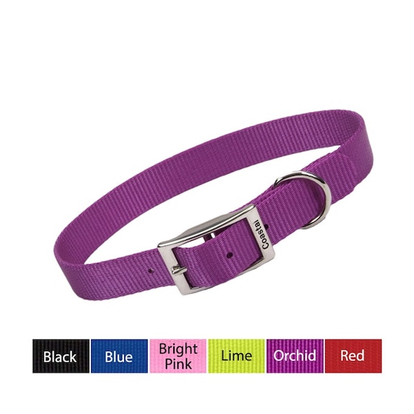 Coastal Pet Coastal Single-Ply Nylon Dog Collar 1 in BLACK 18 - 3808-BK-18