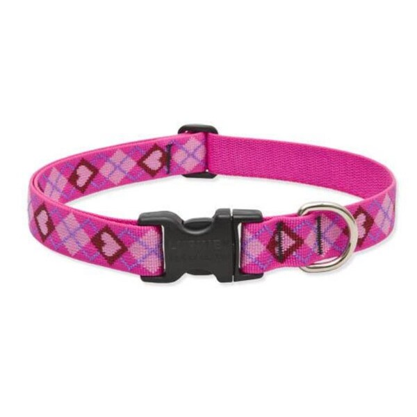 Petpalace 1 in. Puppy Love 16 in. - 28 in. Adjustable Dog Collar - PE1578177