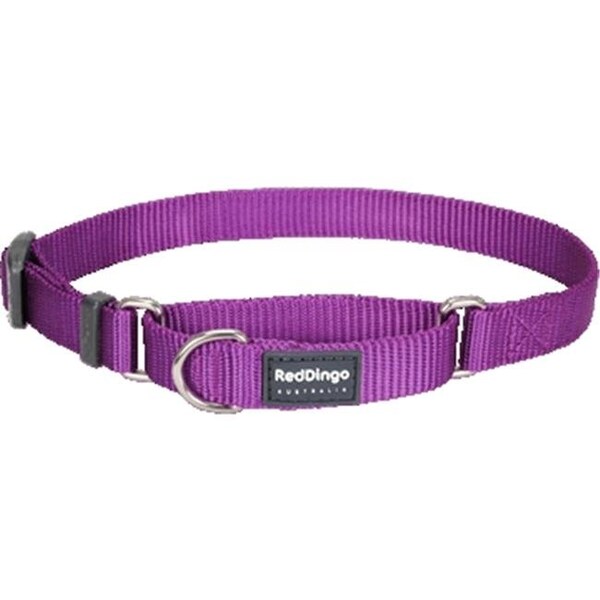 Red Dingo Red Dingo MC-ZZ-PU-ME Martingale Dog Collar Classic Purple; Medium - MC-ZZ-PU-ME