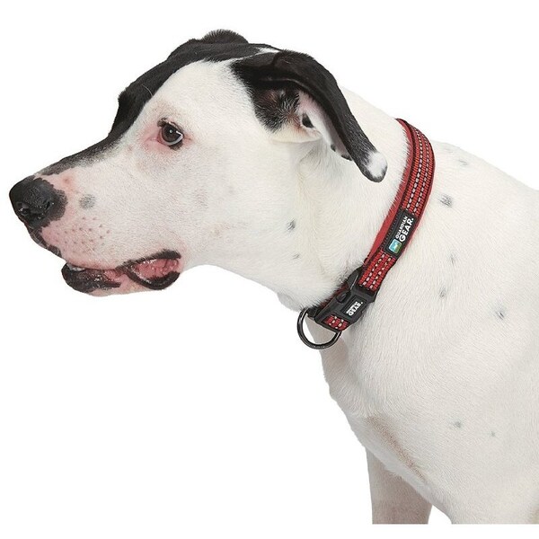Guardian Gear Dog Collar, O-Ring Link, 12 to 83 in L Collar, Nylon, True Red - ZA0006 12 83