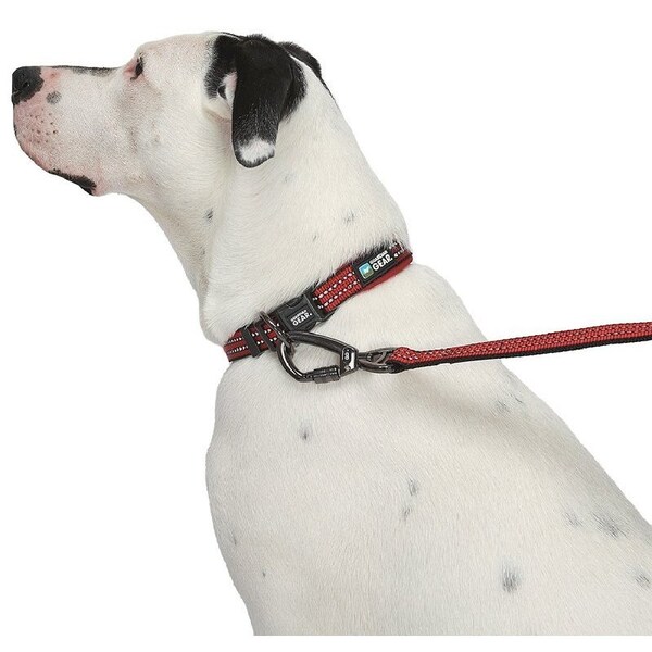 Guardian Gear Dog Collar, O-Ring Link, 12 to 83 in L Collar, Nylon, True Red - ZA0006 12 83