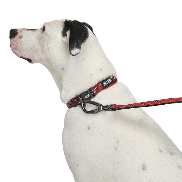 Guardian Gear Dog Collar, O-Ring Link, 24 to 83 in L Collar, Nylon, True Red - ZA0006 24 83