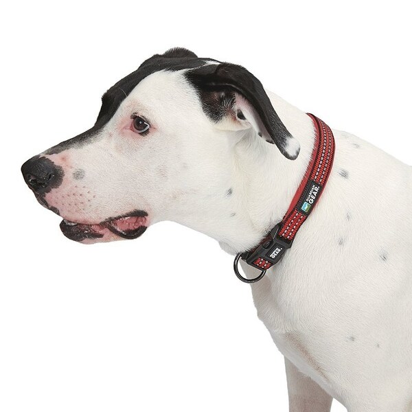 Guardian Gear Dog Collar, O-Ring Link, 24 to 83 in L Collar, Nylon, True Red - ZA0006 24 83