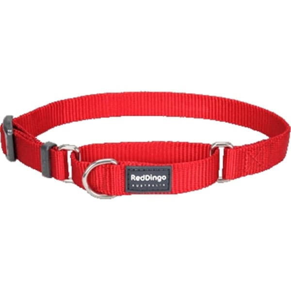 Red Dingo Martingale Dog Collar Classic Red, Small - RE437171