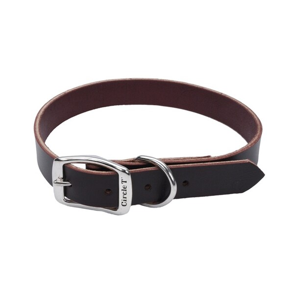 Coastal Pet Circle T Latigo Leather Town Dog Collar Flat 3/4" 20" - 3798-20