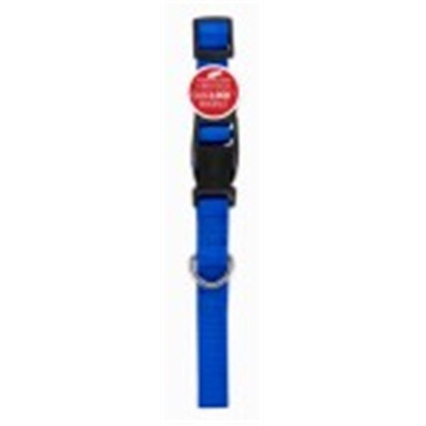 Peticare Products 1 x 26 in. Pet Expert Dog Collar, Blue - PE593708