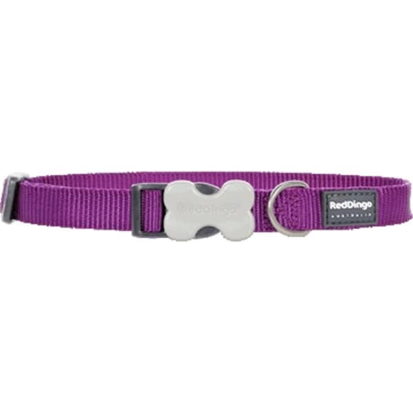 Red Dingo Dog Collar Classic Purple, Small - RE437132