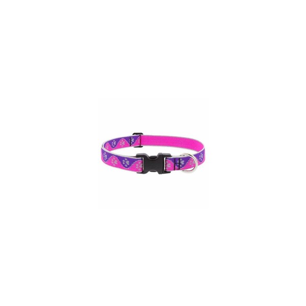 Lupine Adjustable Medium Dog Collar, Reflective Pink Paws Pattern, 1 x 16 - 28-In. - 48553
