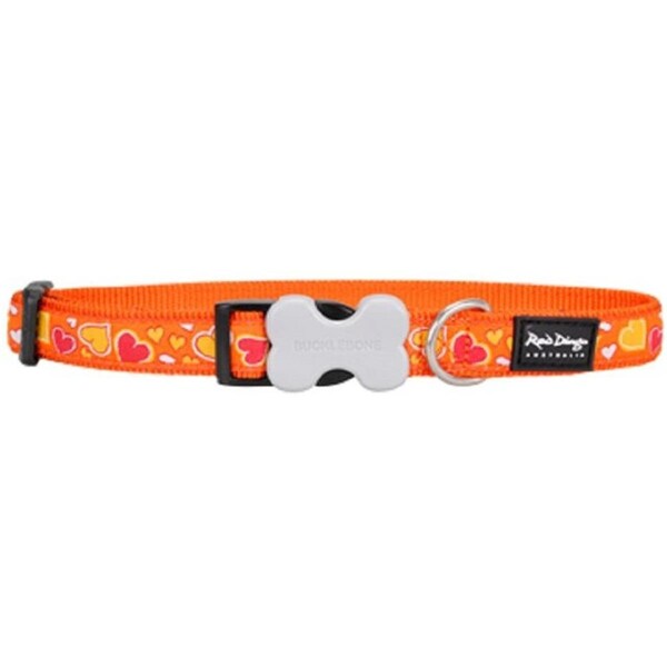 Red Dingo Dog Collar Design Breezy Love Orange, Medium - RE437107