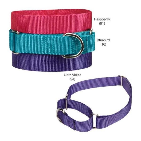 Guardian Survival Gear Guardian Gear ZA1524 10 94 GG Nylon Martingale Cllr 10-16 In Ultra Violet - ZA1524 10 94
