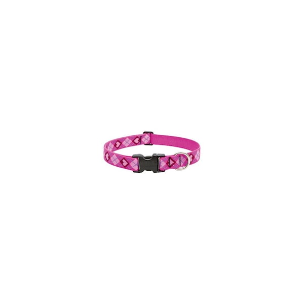 Lupine Dog Collar, Adjustable, Puppy Love, 1 x 12 to 20-In. - 14252