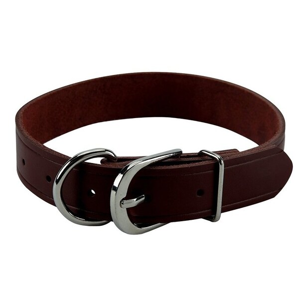 Pdq Boss Pet  Hunting Collar, 19 in L Collar, 1 in W Collar, Leather, Brown - 30019