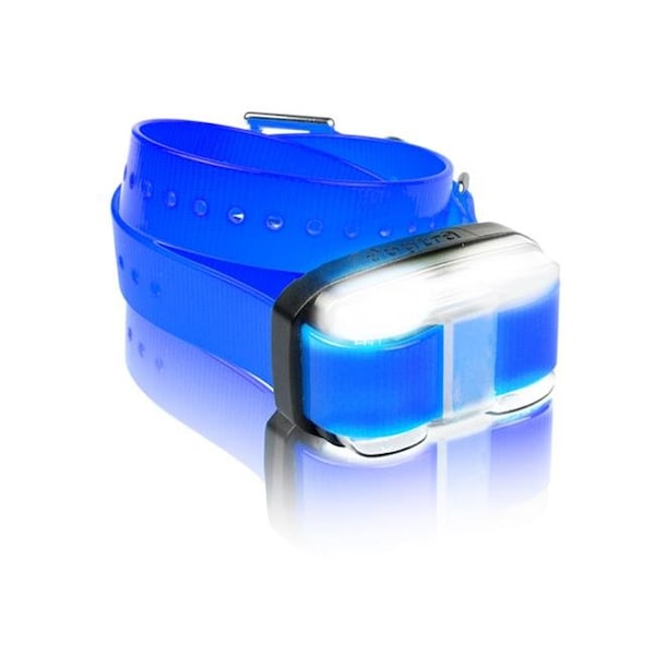 Grain Valley Dog Supply Grain Valley Dog Supply Edge-RX-Blue Edge Extra Receiver - Blue - EDGE-RX-BLUE