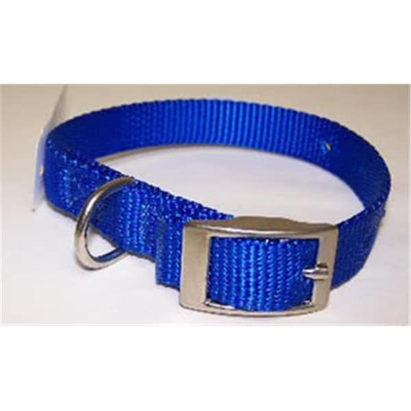 Followerseguidor No.103N BL12 Nylon Collar .62X12in Blue - FO2646864
