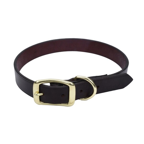 Coastal Pet Latigo Leather Town Dog Collar with Solid Brass Hardware 5/8 in 16 - 3811-16