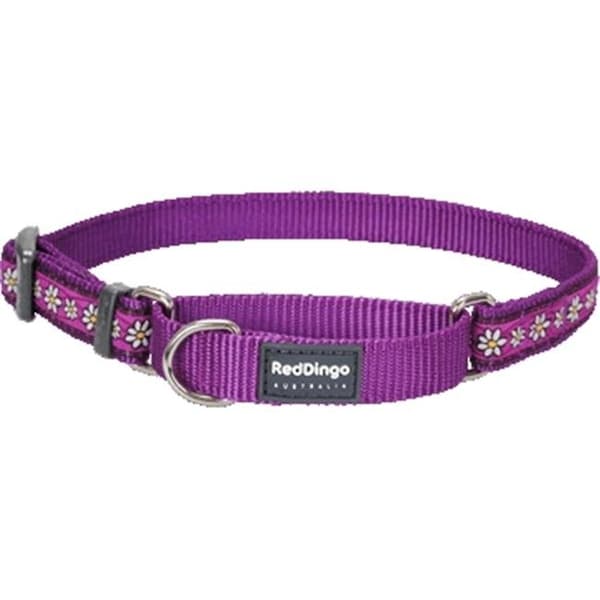Red Dingo Red Dingo MC-DC-PU-ME Martingale Dog Collar Design Daisy Chain Purple; Medium - MC-DC-PU-ME