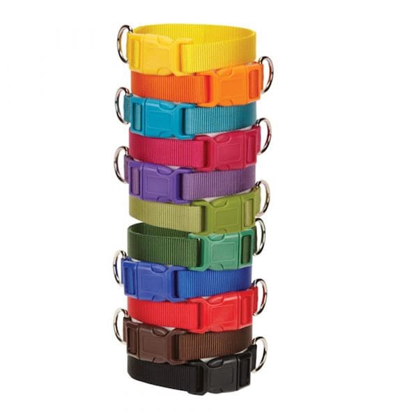Partyanimal 18-26 in. Wide Nylon Dog Collar Fits Necks, Red - PA3174937