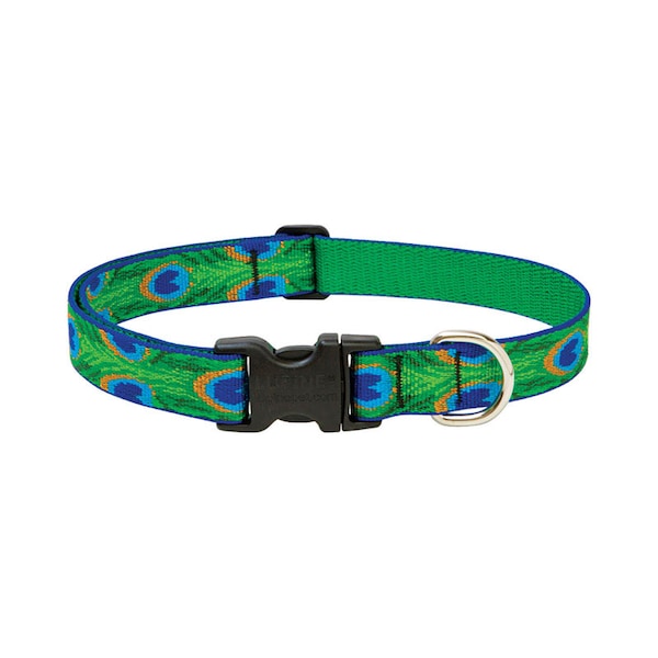 Lupine LupinePet Original Designs Multicolor Tail Feathers Nylon Dog Adjustable Collar - 32652