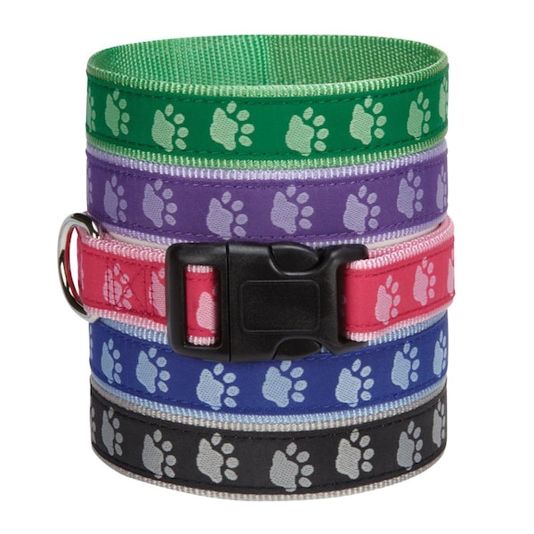 Party Animal 18-26 in. Two Tone Pawprint Dog Collar, Green - PA1669949