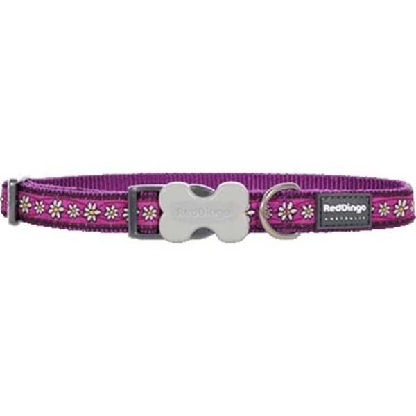 Red Dingo Red Dingo DC-DC-PU-SM Dog Collar Design Daisy Chain Purple; Small - DC-DC-PU-SM