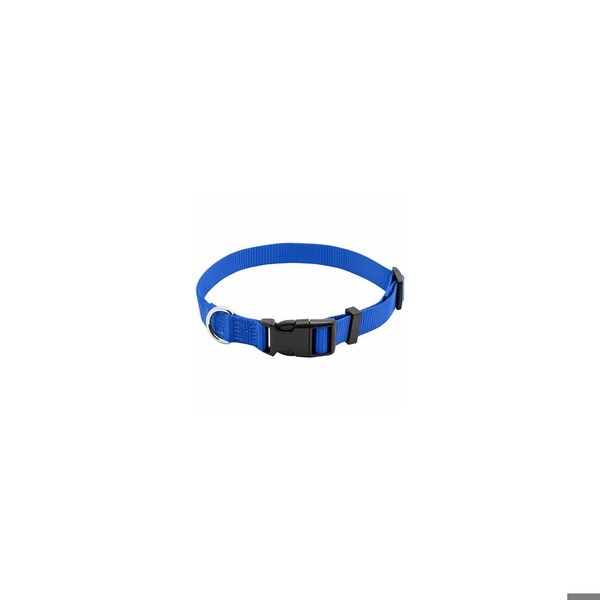 Pet Expert Dog Collar, Adjustable, Blue Nylon, Quadlock Buckle, 3/4 x 14 to 20-In. - PE223886