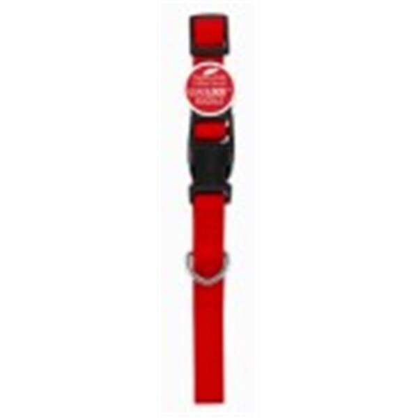 Peticare Products  0.62 x 16 in. Pet Expert Dog Collar, Red - PE579229
