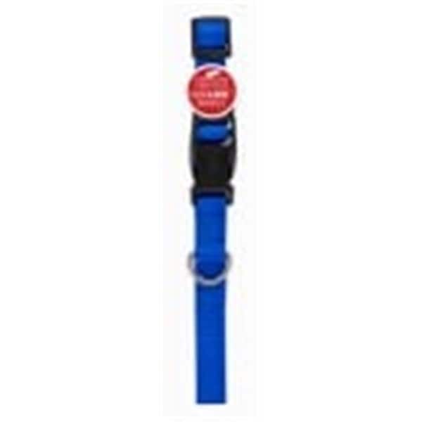 Peticare Products  0.62 x 16 in. Pet Expert Dog Collar, Blue - PE593709