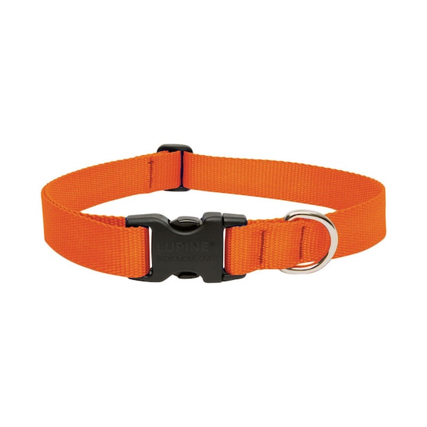 Lupine LupinePet Basic Solids Blaze Orange Blaze Orange Nylon Dog Adjustable Collar - 52553