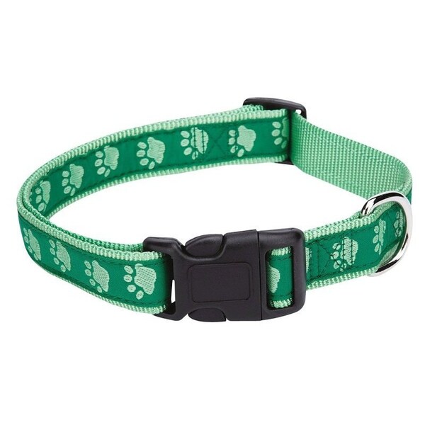 Casual Canine Dog Collar, 14 to 20 in L Collar, 5/8 in W Collar, Nylon, Green - ZA8871 14 43