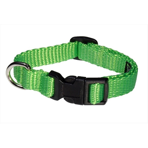 Sassy Dog Wear Nylon Webbing Dog Collar- Neon Green - Extra Small - SOLID NEON GREEN XS-C