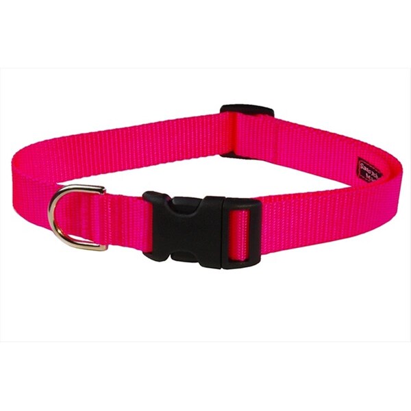Sassy Dog Wear Nylon Webbing Dog Collar- Neon Pink - Small - SOLID NEON PINK SM-C