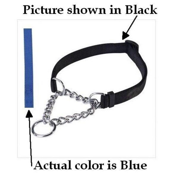 Pet Pals Pet Pals TP330 22 19 Guardian Martingale Collar 22-34 In Blue - TP330 22 19