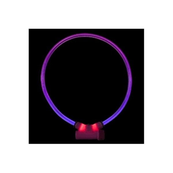 Red Dingo Red Dingo LT-ZZ-PU-LG Lumitube Illuminated Dog Safety Collar; Bright Purple - Large To XL - LT-ZZ-PU-LG