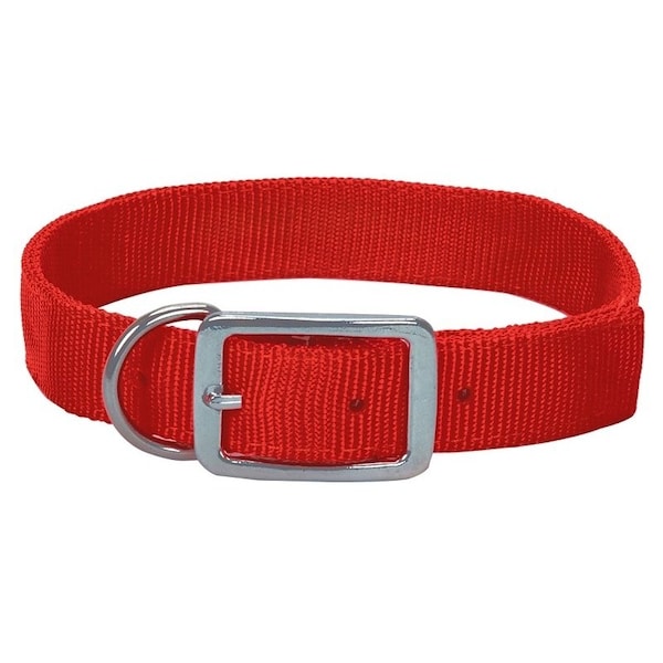 Guardian Gear Hunting Collar, 24 in L Collar, 1 in W Collar, Nylon, Orange - 2052324