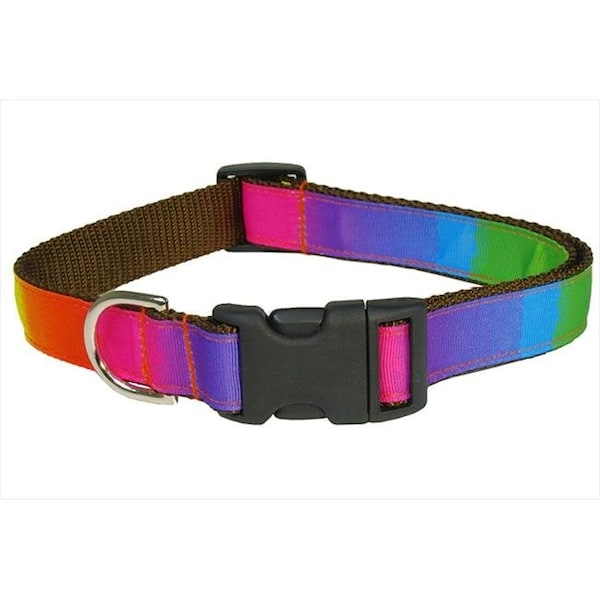 Sassy Dog Wear Sassy Dog Wear RAINBOW4-C Dog Collar; Rainbow - Large - RAINBOW4-C