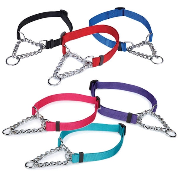 Guardian Guardian TP330 13 83 Martingale Collar 13-18 In Red - TP330 13 83