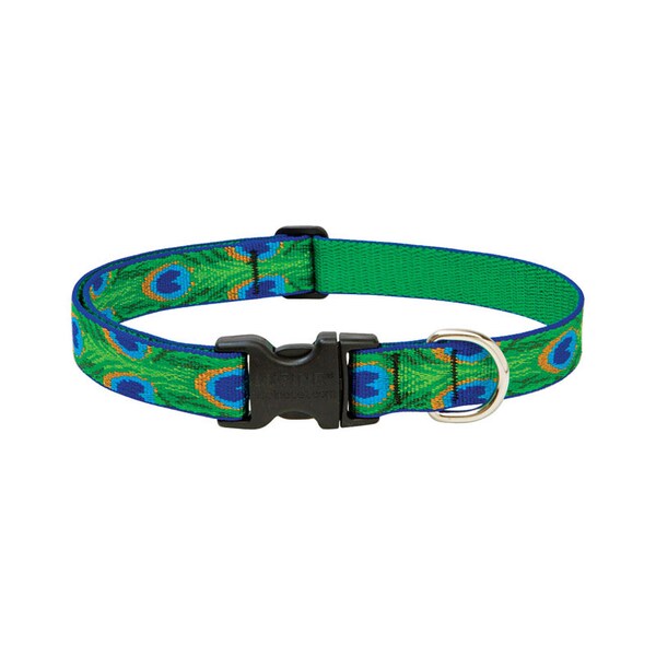 Lupine LupinePet Original Designs Multicolor Tail Feathers Nylon Dog Adjustable Collar - 32653