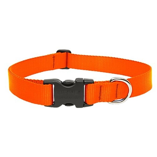 Petpalace 1 in. Blaze Orange 16 in. -28 in. Adj. Collar - PE1664464