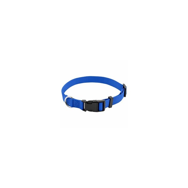 Pet Expert Dog Collar, Adjustable, Blue Nylon, Quadlock Buckle, 3/8 x 8 to 12-In. - PE223888