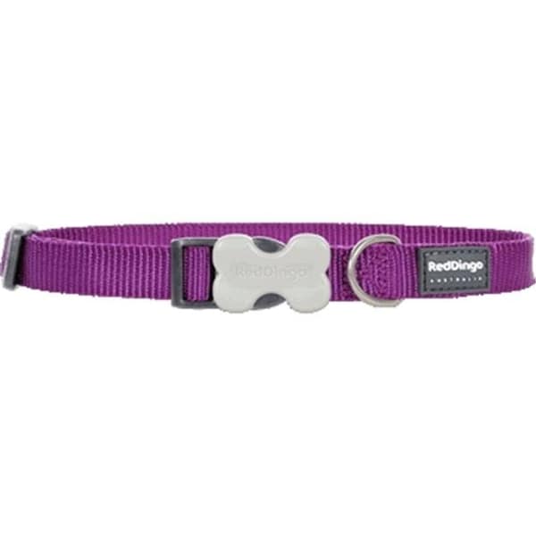 Red Dingo Red Dingo DC-ZZ-PU-SM Dog Collar Classic Purple; Small - DC-ZZ-PU-SM