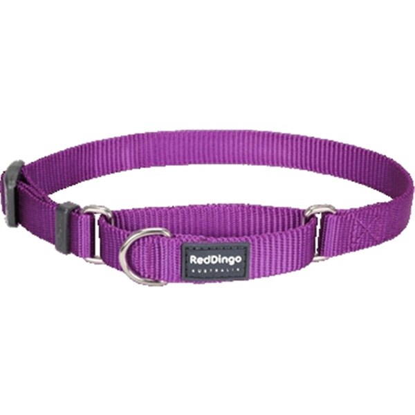 Red Dingo Martingale Dog Collar Classic Purple- Large - MC-ZZ-PU-25