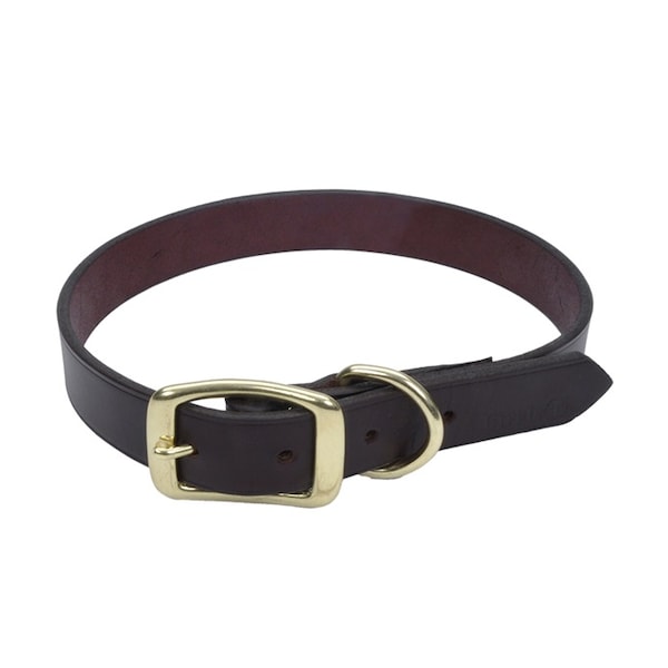 Coastal Pet Latigo Leather Town Dog Collar with Solid Brass Hardware 3/4 in 20 - 3812-20