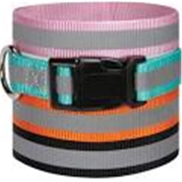 Pamperedpets Reflective Cllr 10-16 In Orange - PA439171